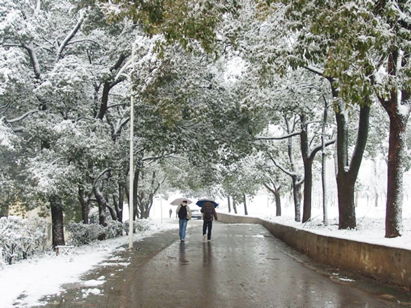 湖北第二师范学院雪景