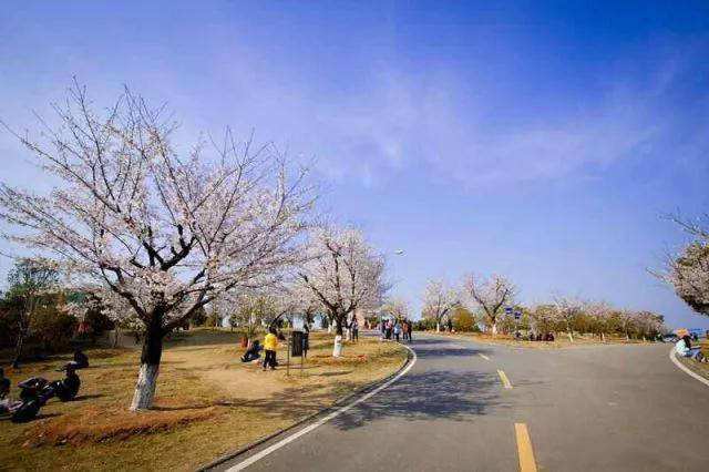 湖北第二师范学院