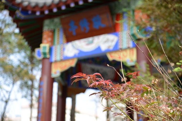 湖北第二师范学院秋韵