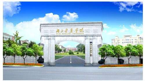 湖北医药学院